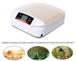 Mesin Penetas Telur 56 Butir (AGR-TT56) 1 tokomesin malang