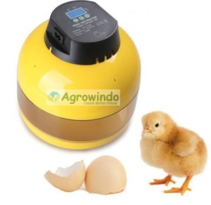 Mesin Tetas Telur 10 Butir (INC-10) 1 tokomesin malang